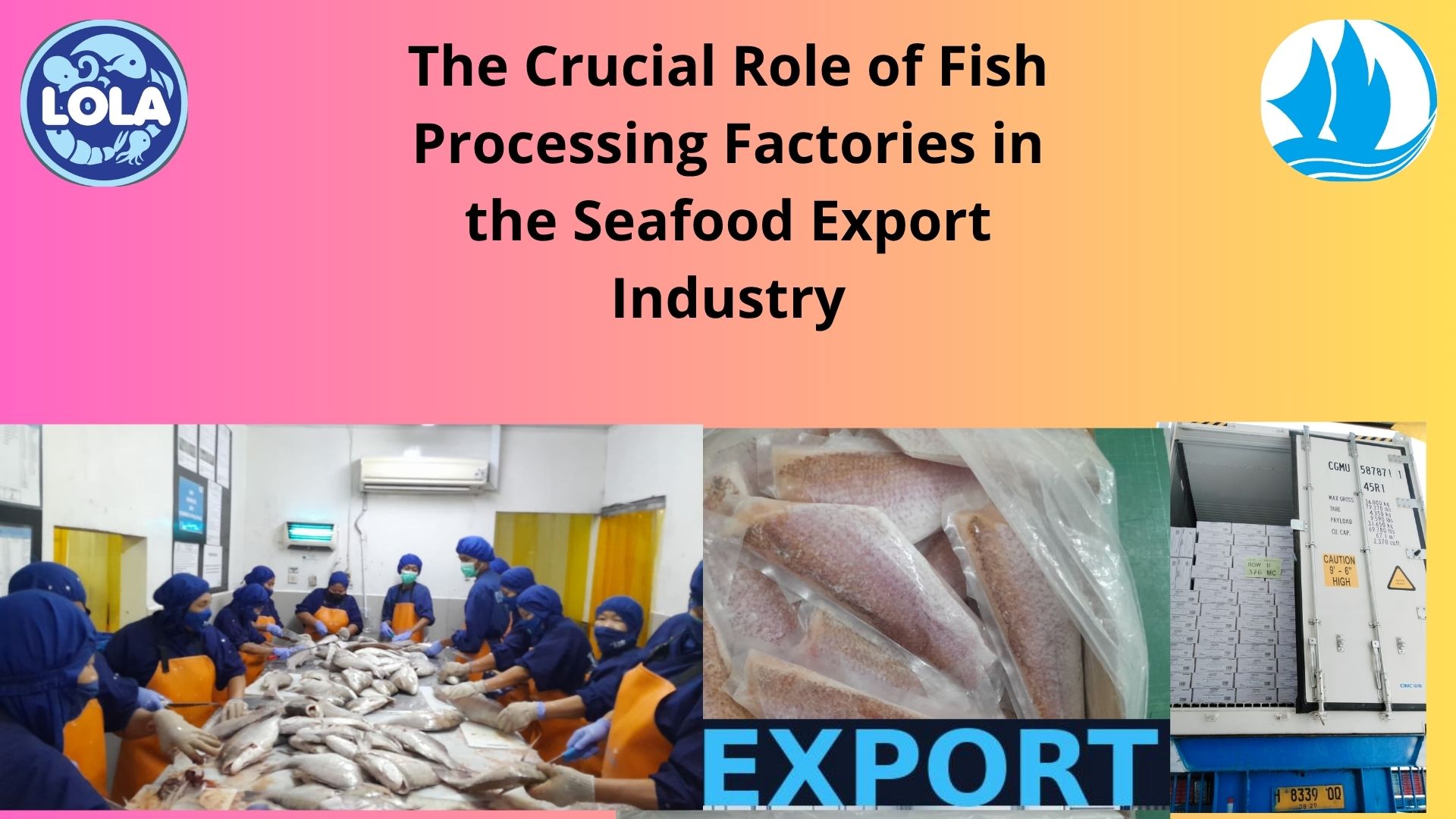  The Crucial Role of Fish Processing Factories in the Seafood Export Industry